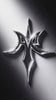 Logo cromado Antirod animado
